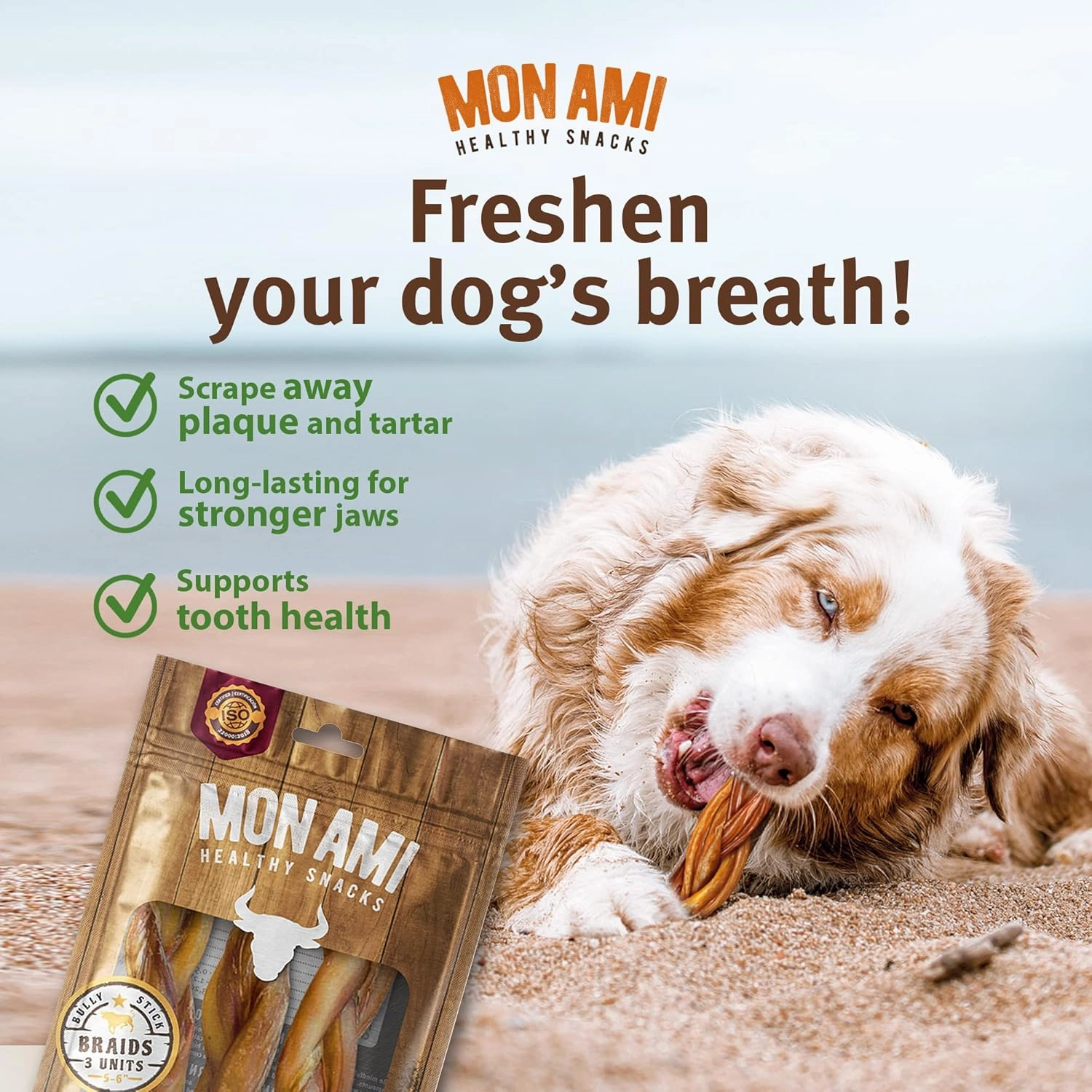 Mon Ami Braided Bully Sticks for Large and Small Dogs (5-6 inches, Pack of 12) - Made from Grass Fed Beef Dog Treats - Natural Bully Sticks - Grain Free & High Protein Dog Snack