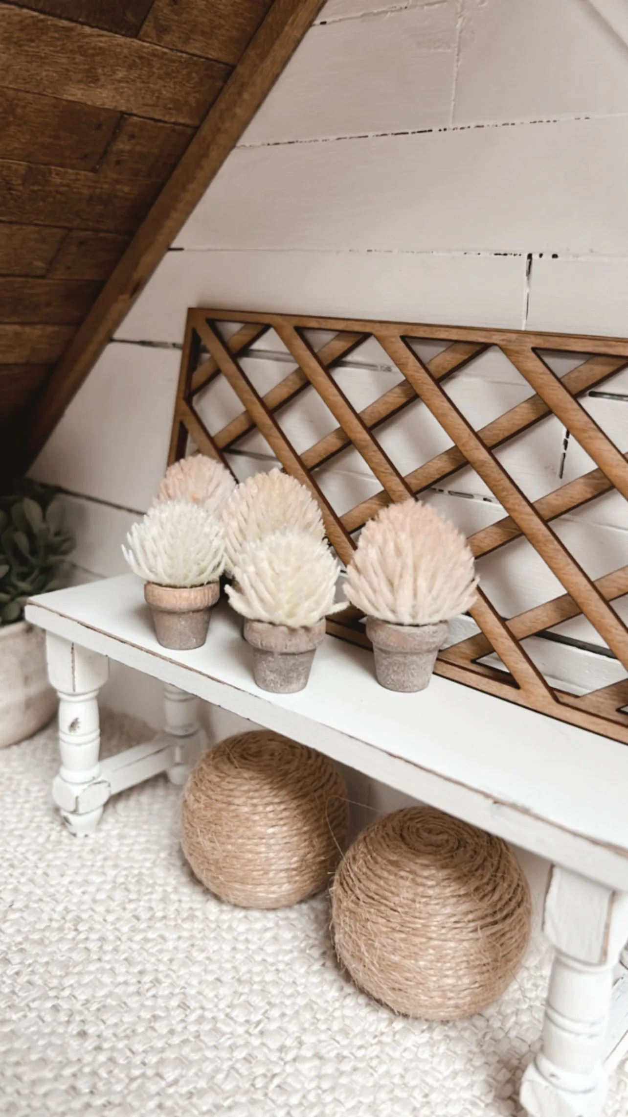 Neutral Spikey Plant