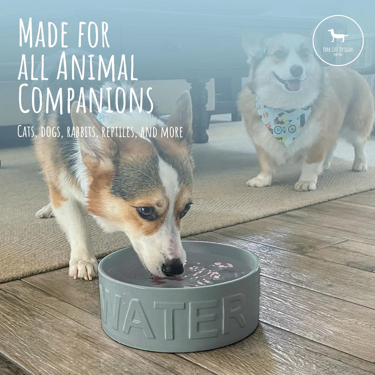 Park Life Designs Pet Bowl | Classic Water (Large, Grey)