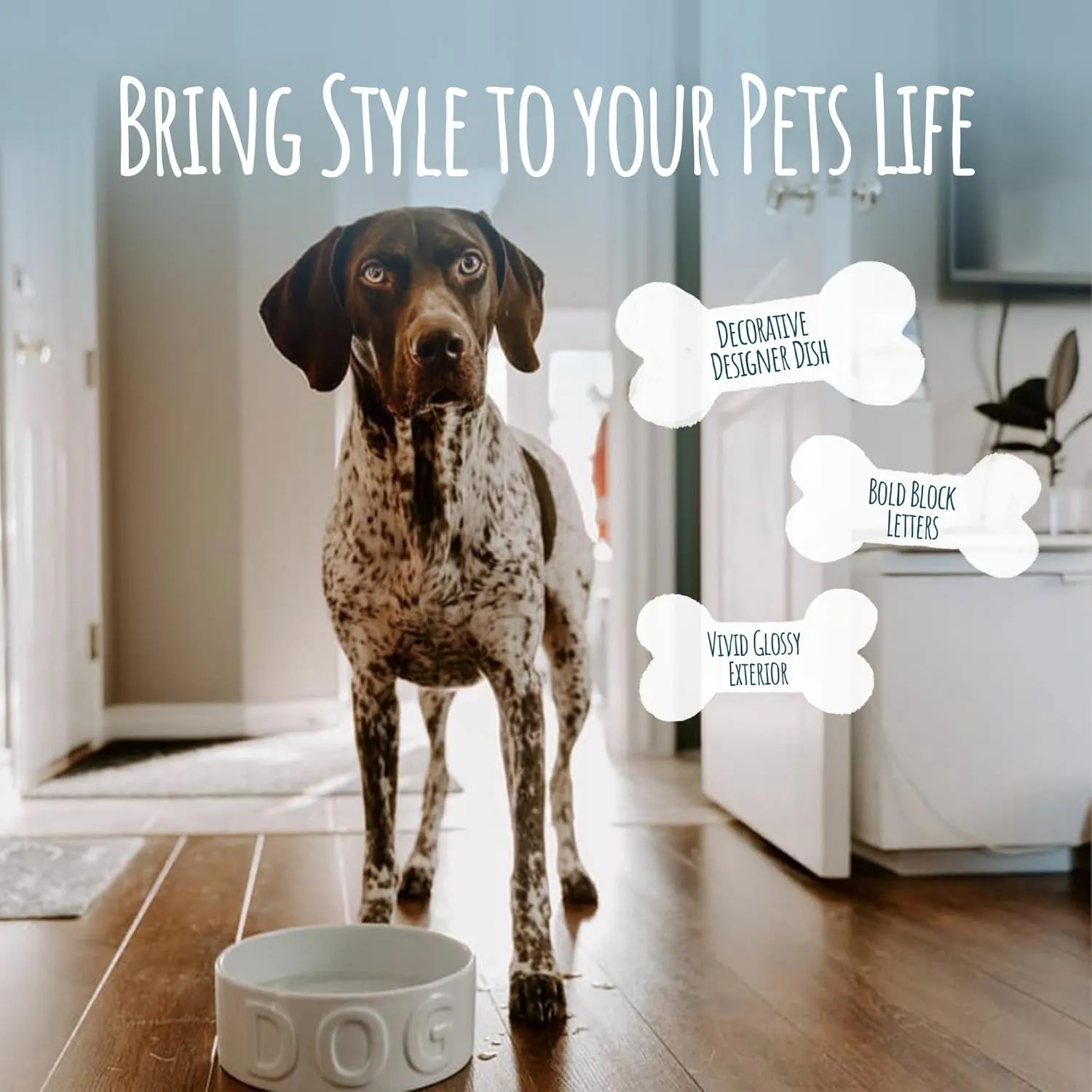 Park Life Designs Pet Bowl | Classic Water (Large, Grey)