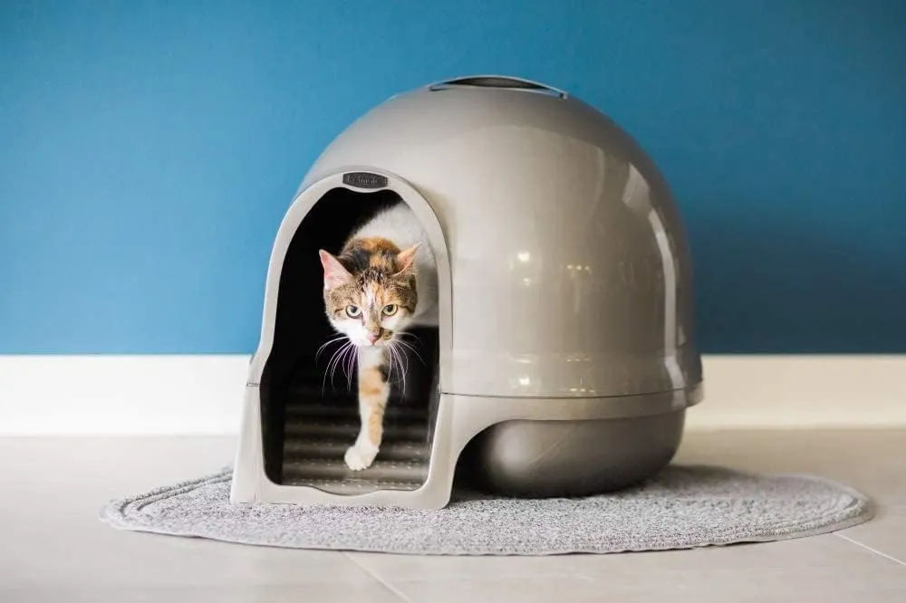 Petmate Booda Clean Step Cat Litter Box Dome (Made in the USA with 95% Recycled Materials)- Brushed Nickel, Made in USA