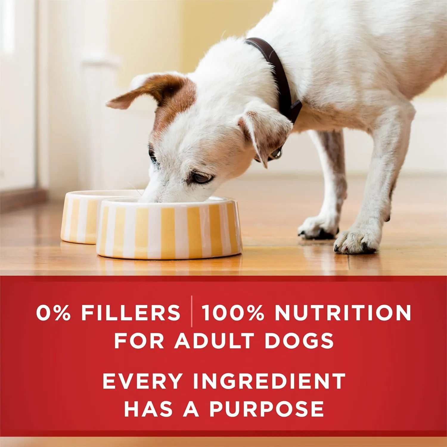 Purina ONE Classic Ground Beef and Brown Rice Entree Adult Wet Dog Food - (Pack of 12) 13 oz. Cans