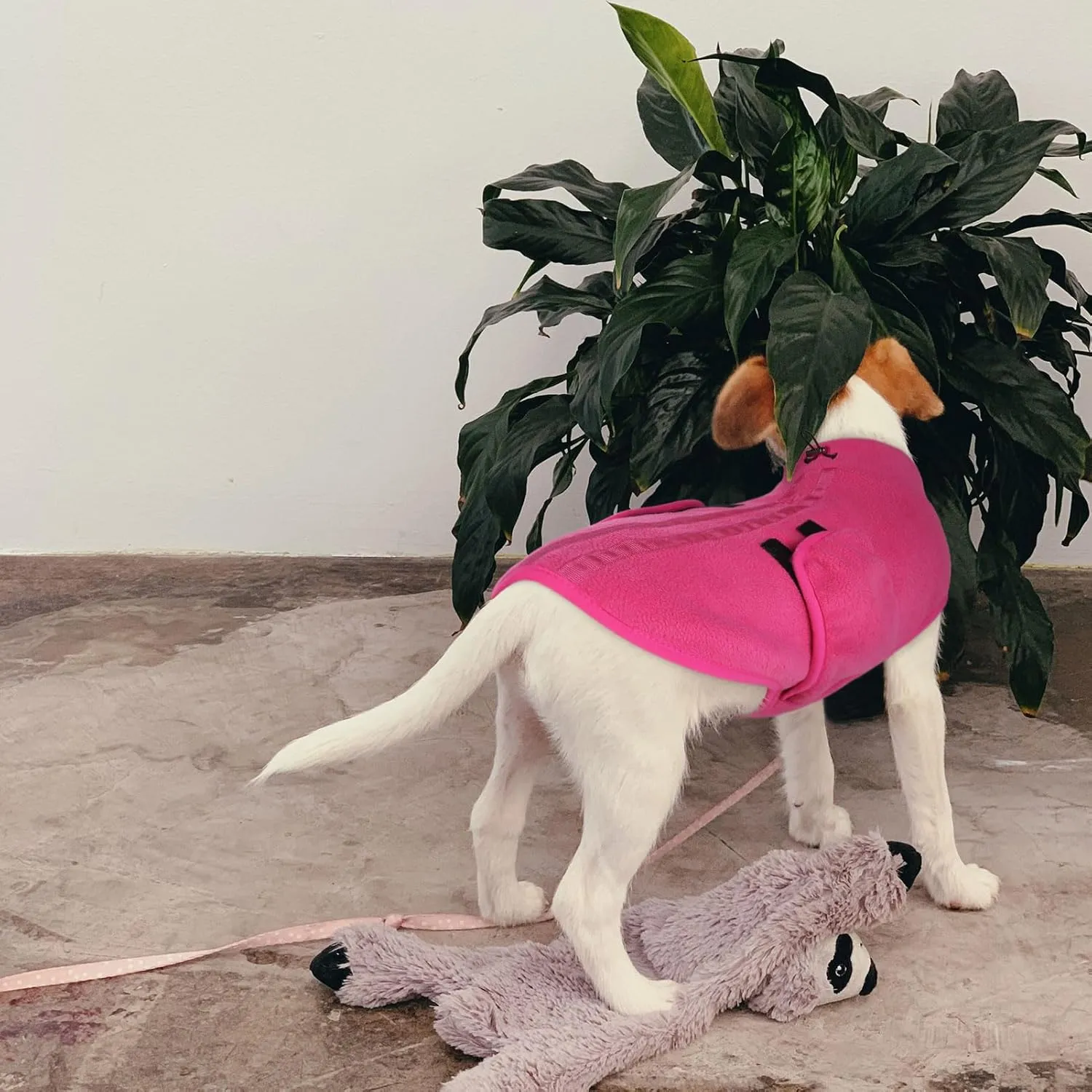 Queenmore Small Dog Sweater, Soft Fleece Vest Pullover Dog Jacket with Leash Hole, Warm Winter Dog Clothes Cold Weather Doggy Dachshund Sweaters for Small Dogs Cats Boy or Girl (Pink, XS)