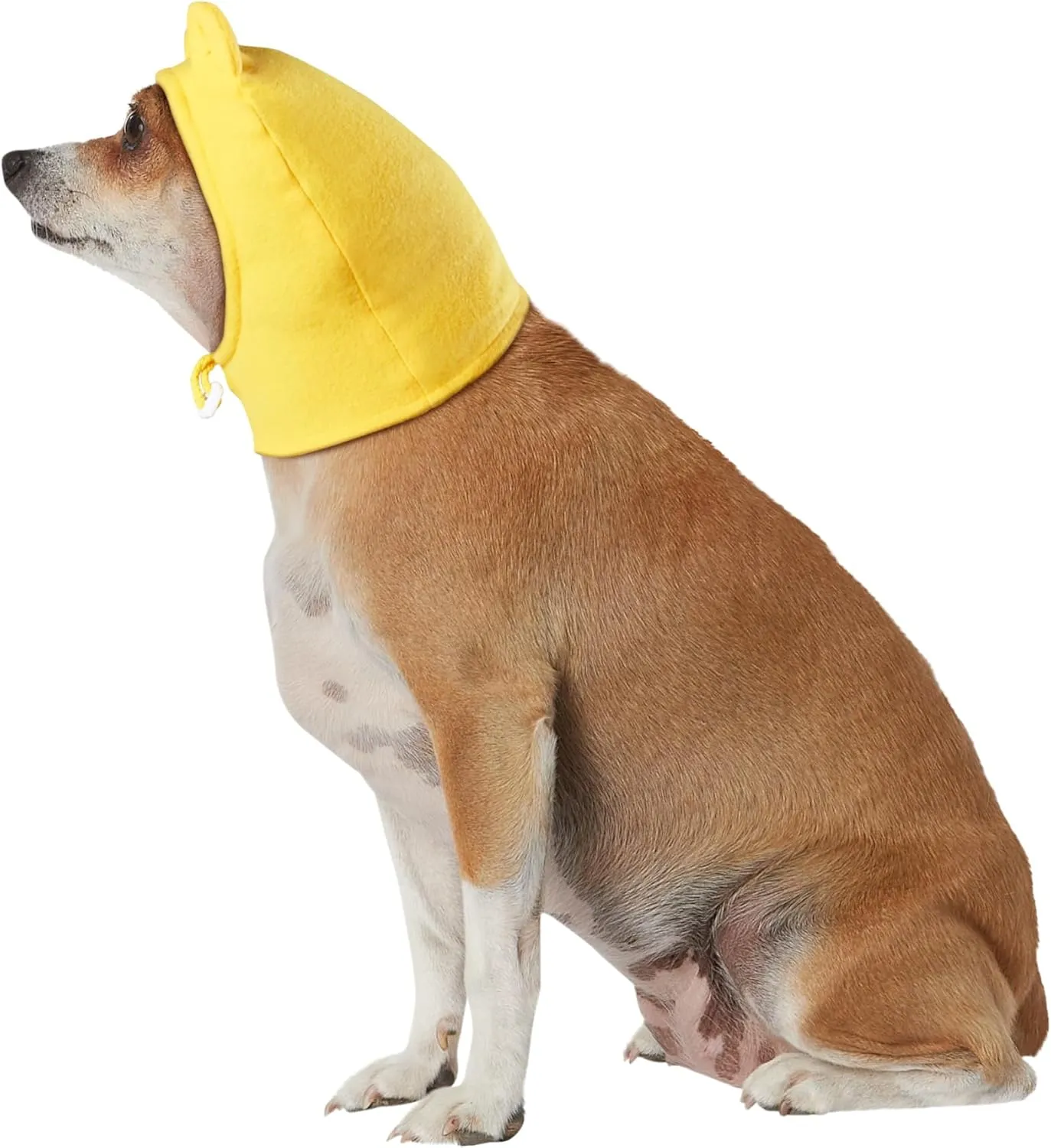 Rubie's Disney: Winnie the Pooh Pet Costume Accessory, Winnie, S-M (200179_S-M)