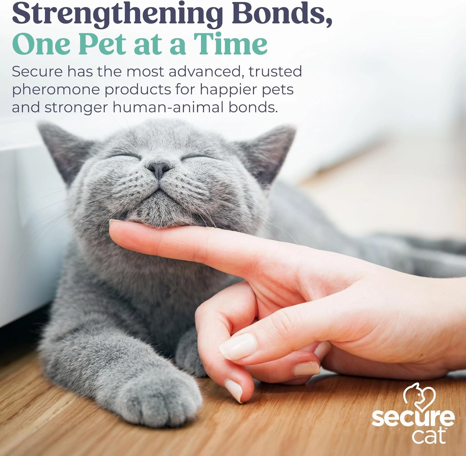 Secure Cat Pheromone Home Stick Diffuser 30-Day Starter Kit, Passive Diffuser Creates a Calming Environment. Naturally Supports Calm and Wellbeing Helping Relieve Any Feeling of Anxiety or Stress