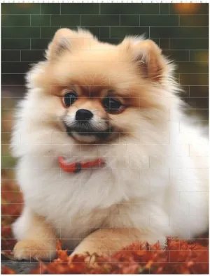 Short-Haired Pomeranian Dog Building Block Puzzle Personalized Building Bricks Block Puzzle Building Family Keepsake DIY Brick Block Puzzles Valentine's Day Gifts for Home Decor Brick Puzzle
