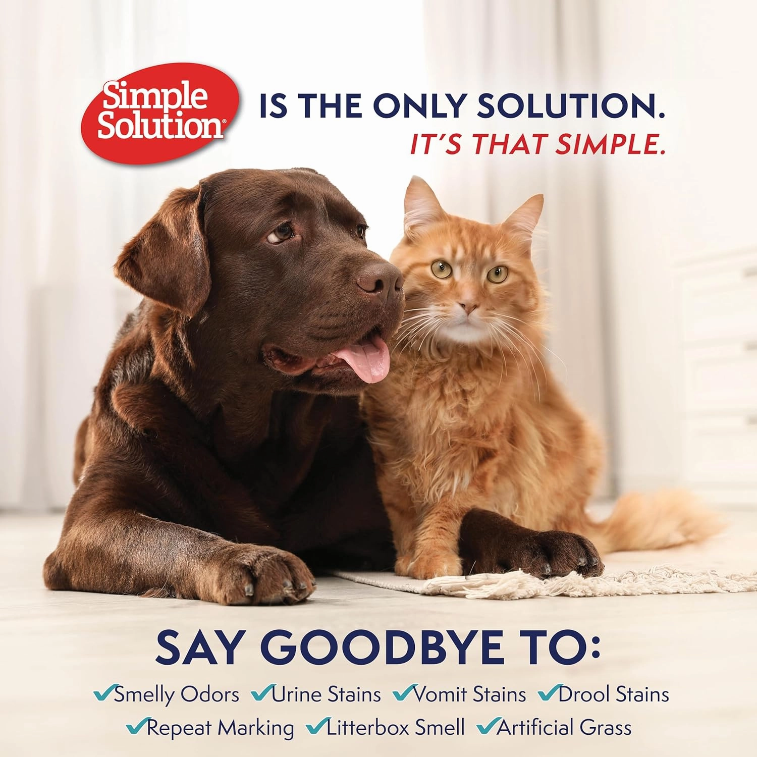 Simple Solution Extreme Pet Stain and Odor Eliminator Spray, Pee Stain Remover, Enzyme Cleaner, 3X Pro-Bacteria Cleaning Power, Dog Odor Remover, 32 oz and Gallon