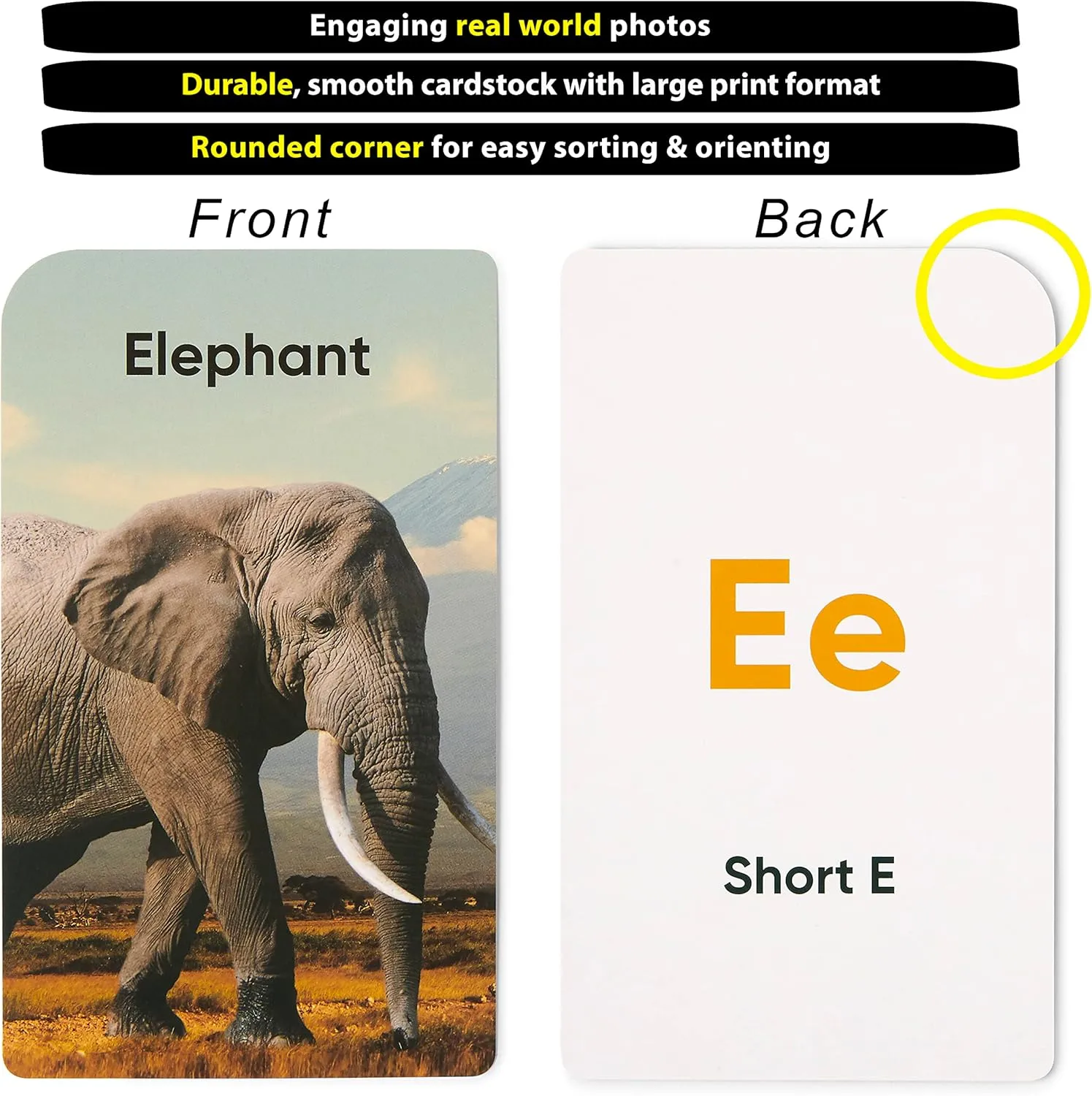 Think Tank Scholar Flash Cards for Preschool, Pre K and Kindergarten Set of 5, 180 Cards - Learn Alphabets, Colors, Number, Shapes Animals & Sight Words - Educational Flashcards for Kids 2-5 Years