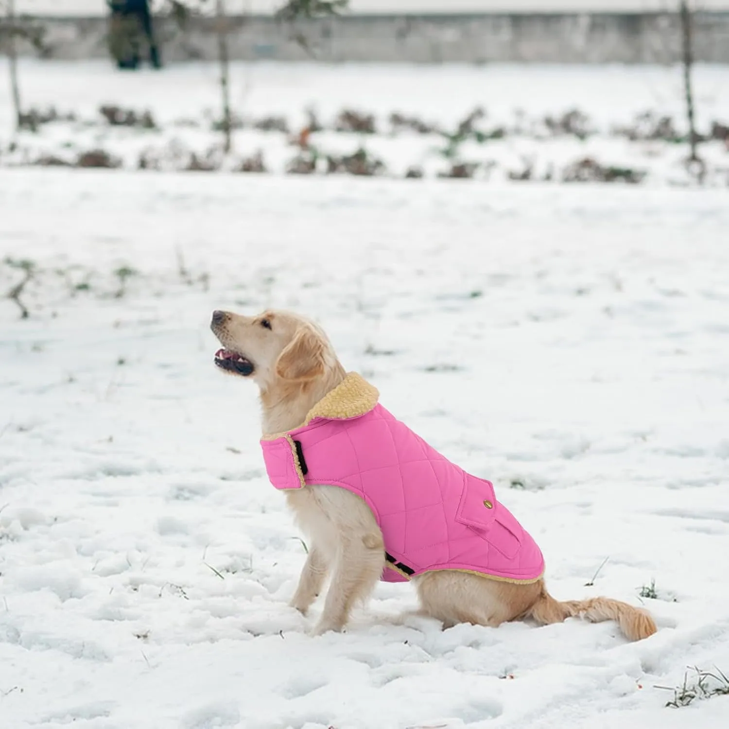 Winter Coat for Medium Dogs, Puppy Plaid Jacket, Cotton Coat for Cold Weather, Windproof Warm Dog Garments, Pet Thickened Outfits Indoor Outdoor, Pink M