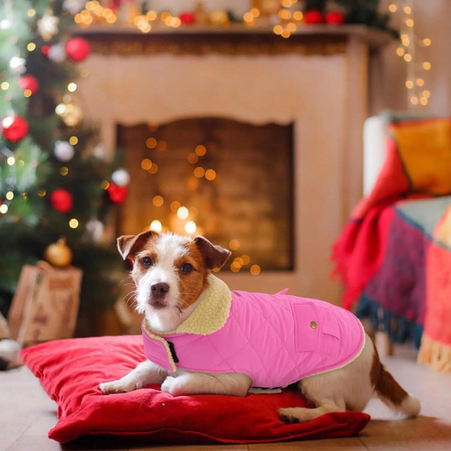 Winter Coat for Medium Dogs, Puppy Plaid Jacket, Cotton Coat for Cold Weather, Windproof Warm Dog Garments, Pet Thickened Outfits Indoor Outdoor, Pink M