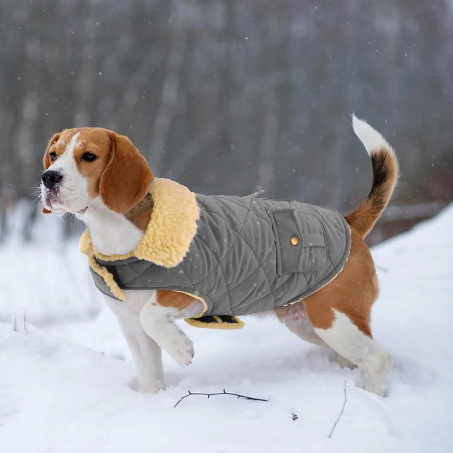 Winter Coat for Small and Medium Dogs, Puppy Plaid Jacket, Cotton Coat for Cold Weather, Windproof Warm Dog Garments, Pet Thickened Outfits Indoor Outdoor, Grey XS