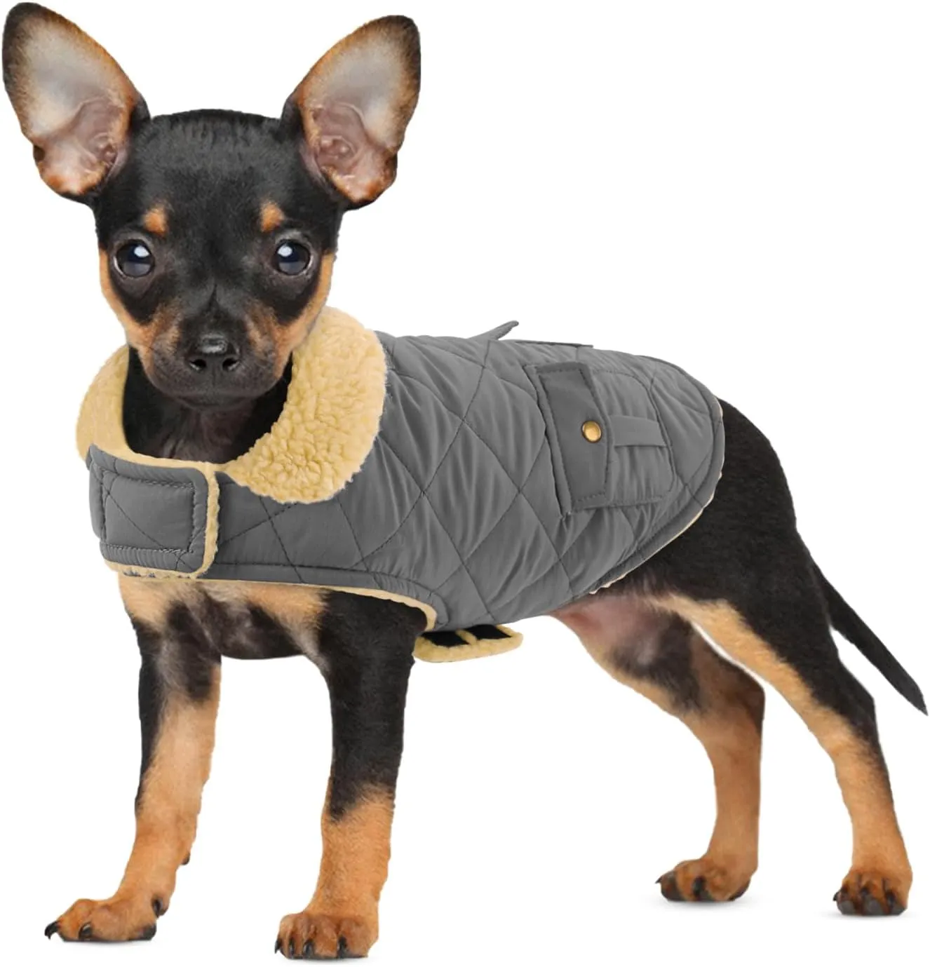 Winter Coat for Small and Medium Dogs, Puppy Plaid Jacket, Cotton Coat for Cold Weather, Windproof Warm Dog Garments, Pet Thickened Outfits Indoor Outdoor, Grey XS