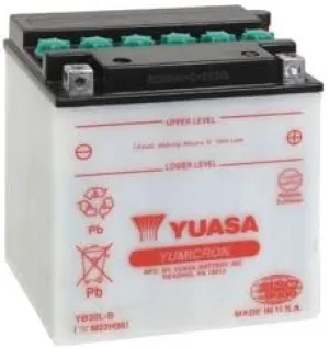Yuasa Battery YuMicron YB30L-B